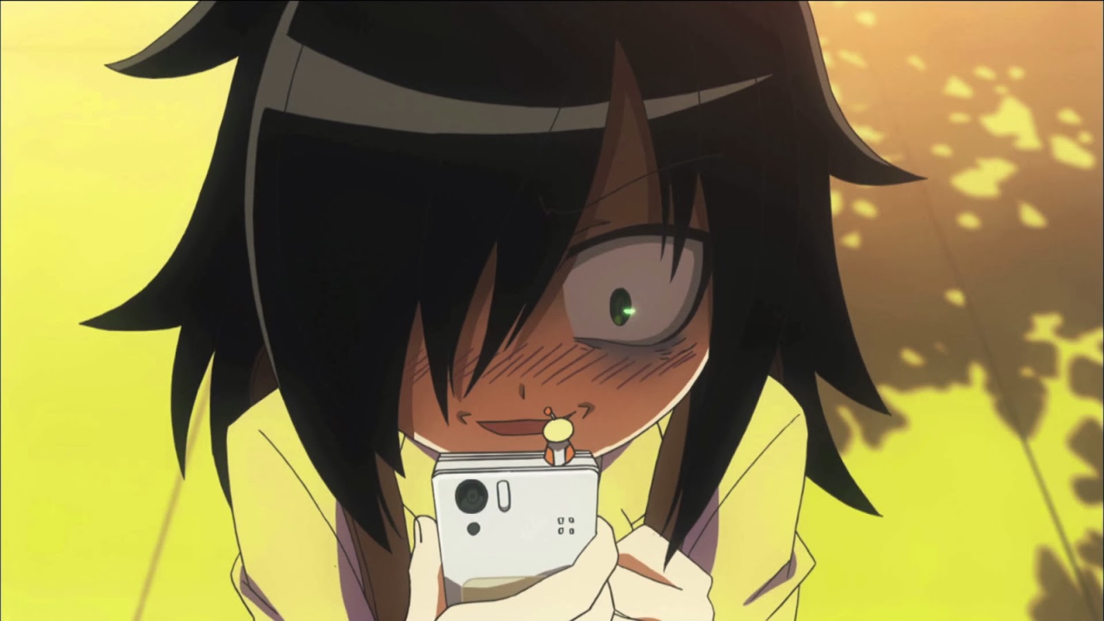 Watashi Ga Motenai No Wa Dou Kangaetemo Omaera Ga Warui KonohaStore DVD: Watashi ga Motenai no wa Dou Kangaetemo Omaera ga Warui! (Watamote) [HD 1080p]